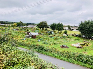 allotments